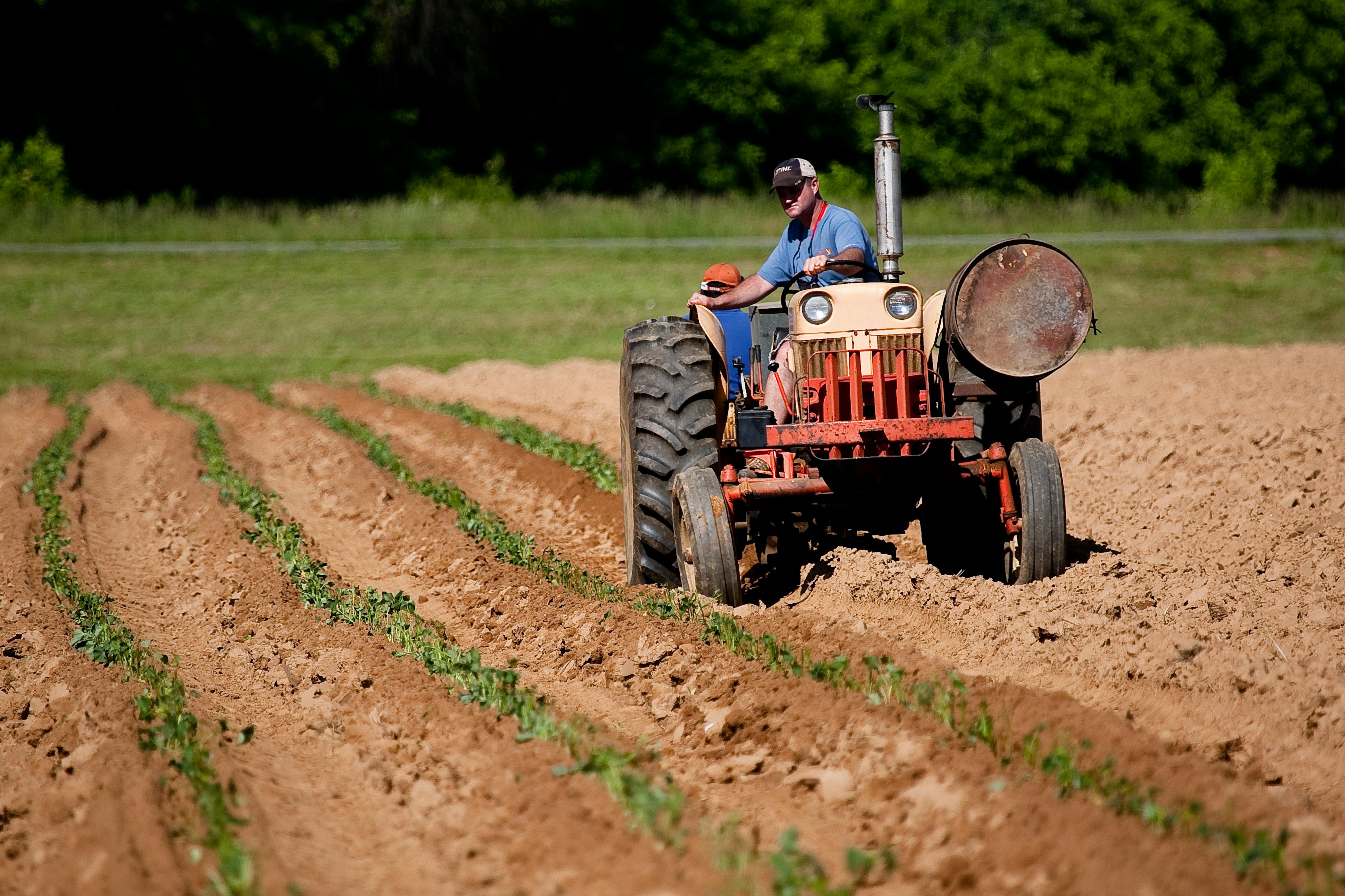 From Farm to Feed: How Influencers Promote Sustainable Food Brands